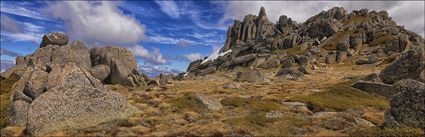 Kosciuszko NP - NSW H (PBH4 00 10728)